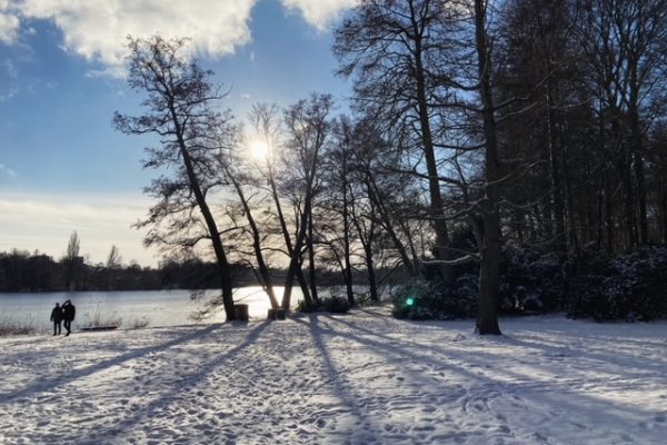 Winterlandschaft mit See und Bäumen, Wintersonne